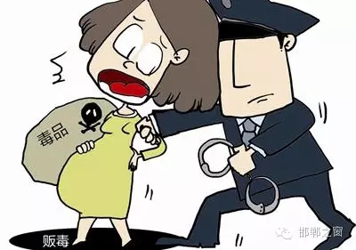2016年初，涉縣警方查獲一起涉毒案件，鑒于該案涉案人員多、毒品交易量大，涉縣警方立即將案情上報，被公安部確立為“目標-2016-314”號毒品案件。涉縣警方成立專案組，經(jīng)過多方追查，先后抓獲團伙人員13名，繳獲毒品5349克，并查明上線“濮姐”的真實身份為陳某。